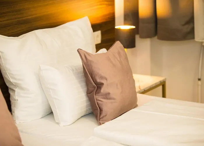 I Self Check In I Ac In Hotel Viena